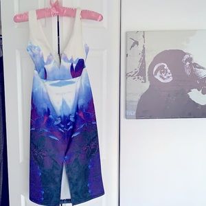 Unique and Artsy Bodycon Dress by L’Atiste